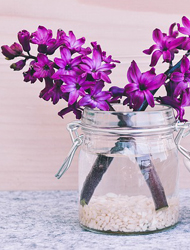 手机版ddos攻击器