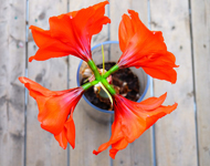 ddos攻击ip软件下载